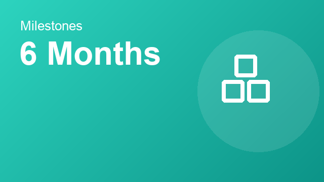Developmental milestones checklist for a child at 6 Months